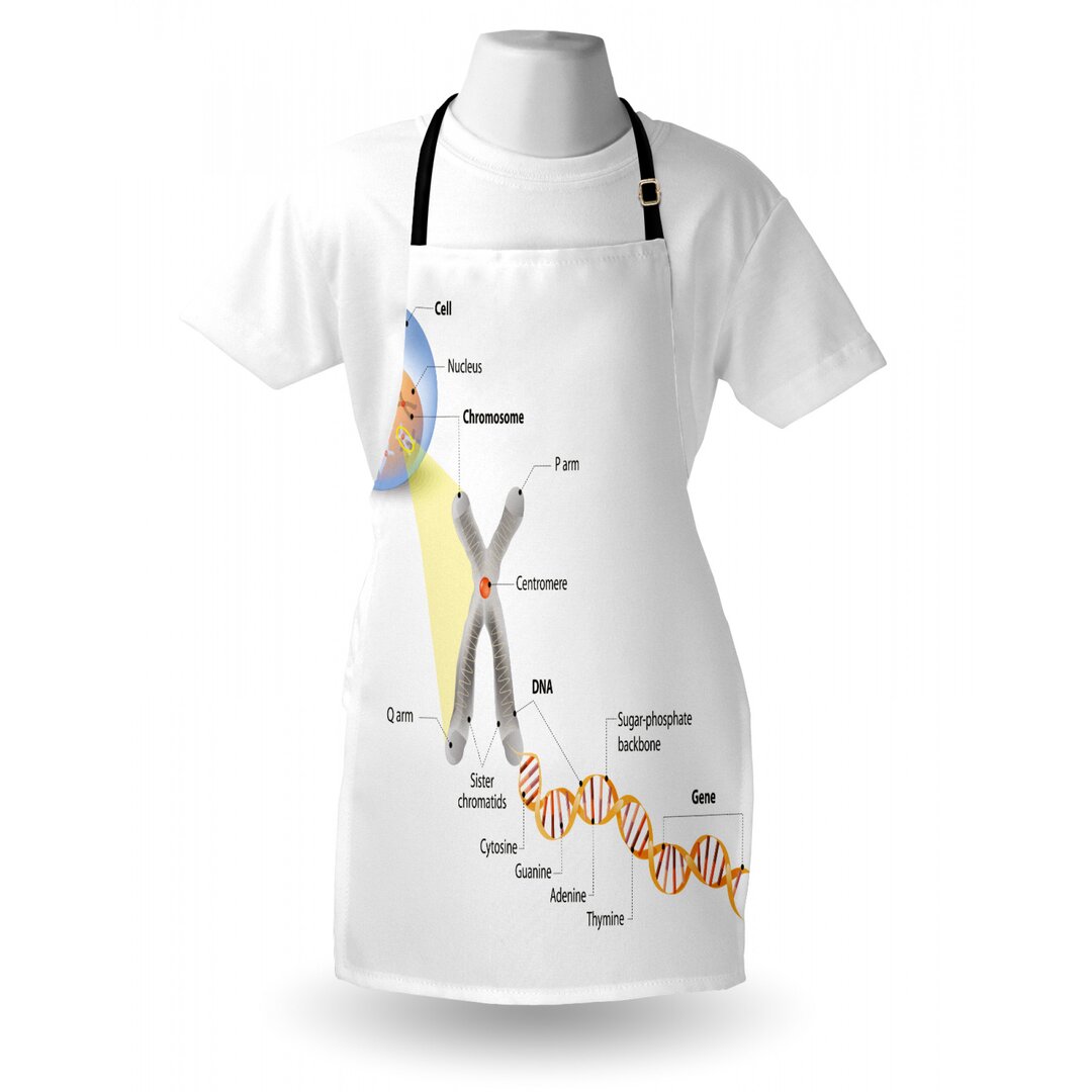 Kochschürze, DNA Gene Genom, Lehrreich, Mehrfarbig