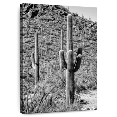 Harnek - Arizona noir - Cactus Hill III