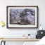 Two Hippos - Framed Print-62792922-62792923