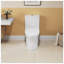 Toilette allongée blanche une pièce avec double chasse, hauteur confortable, siège à fermeture douce, certifiée CUPC et WaterSense