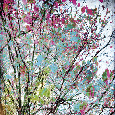 2.8m x 279cm Textured Matt Wall Mural