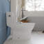 Siège de toilette DV-1S0038 DeerValley