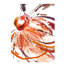 Full Blossom II Painting by Sara Brown-26728572-26728571