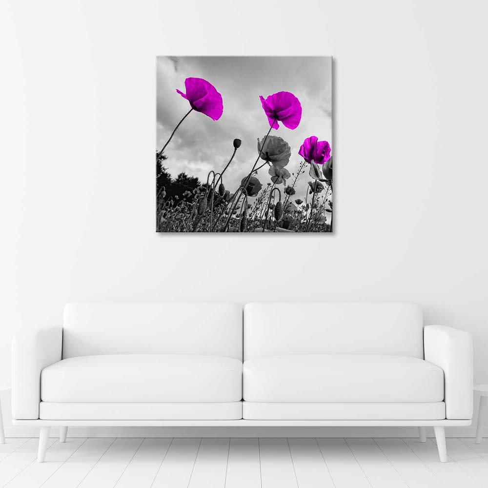 Leinwandbild Purple Poppies