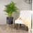 Isabelle Handmade Pot Planter-974290376-974290381
