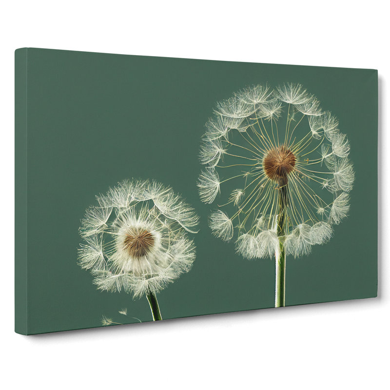 Ethereal Dandelion Flowers - Wrapped Canvas, 40cm H x 60cm W x 3cm D