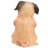 Pug Puppy Sitting
