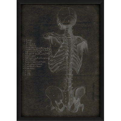 « skeleton back », impression encadrée