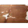 Hecate Animal Print 155cm X 190cm Area Rug