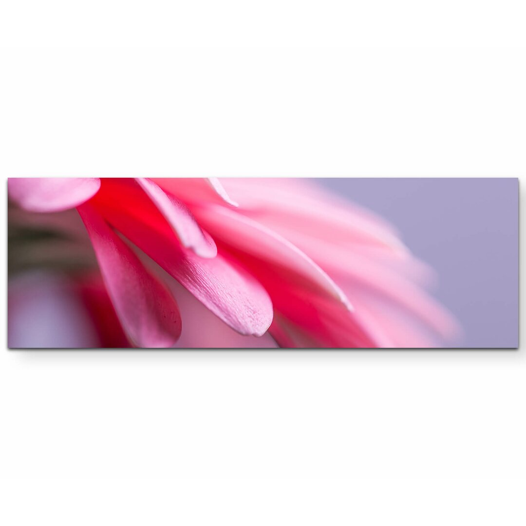 Leinwandbild Rosa Gerbera – Nahaufnahme