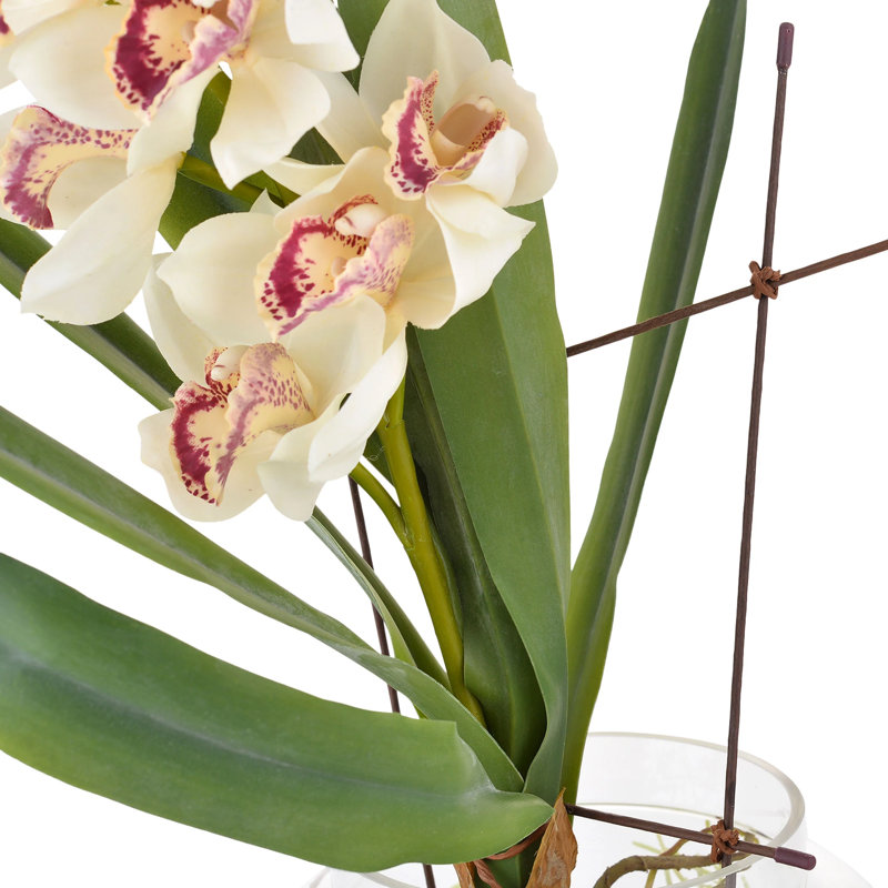 Orchid Arrangement in Vase