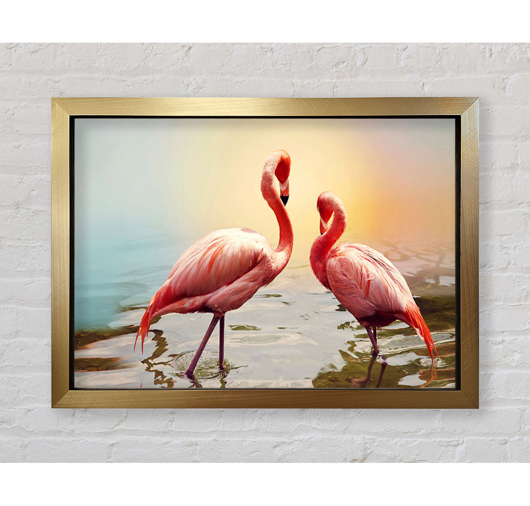 Flamingo Sunset - Einzelner Bilderrahmen Kunstdrucke