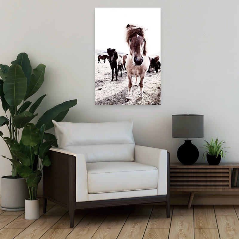Islande, cheval, Rikka, art contemporain cheval
