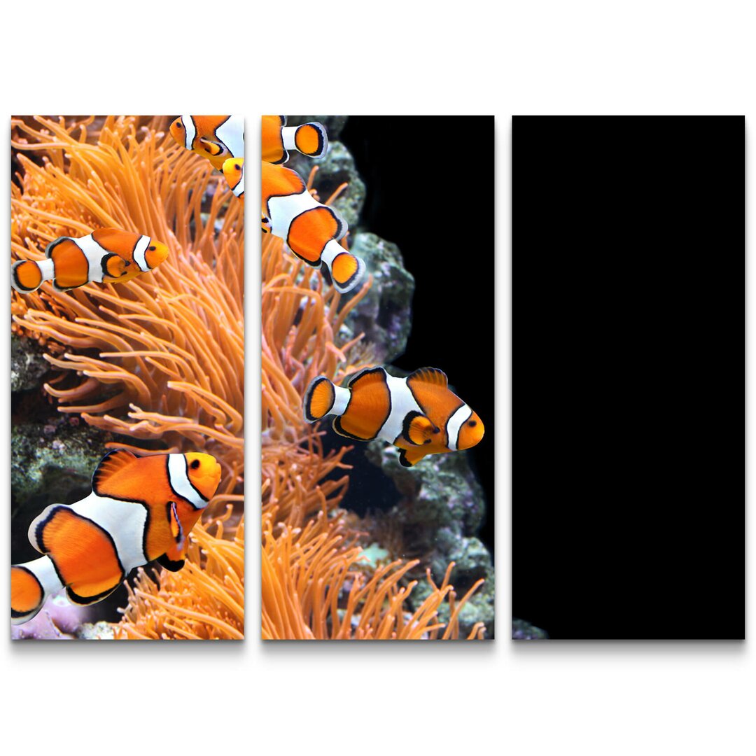 3-tlg. Leinwandbilder-Set Seeanemone und Clownfisch im Aquarium