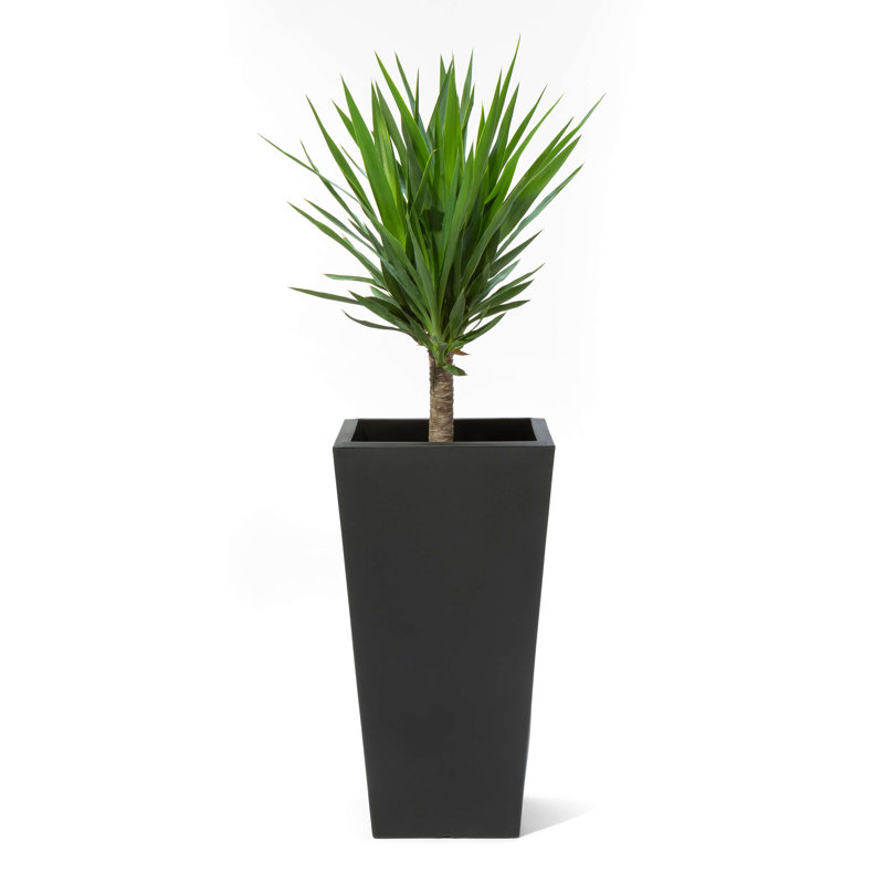 Pot Planter, Black