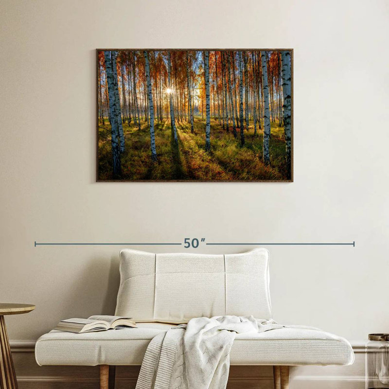 Forêt de bouleaux suédois, 37 po x 25 po, Cadre flottant noyer