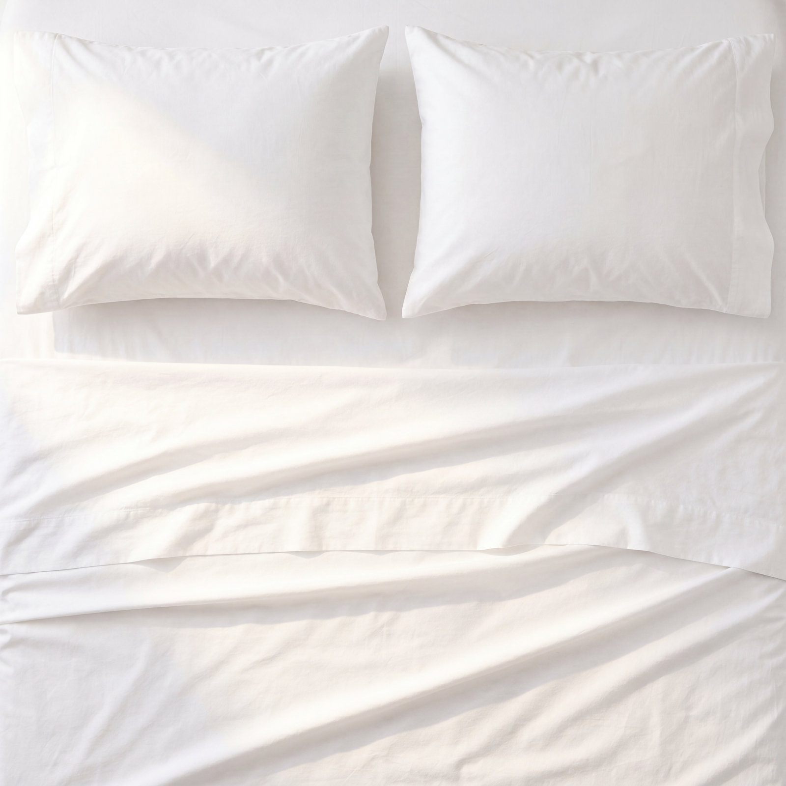 HOTEL Collection Pillow Sham, Standard