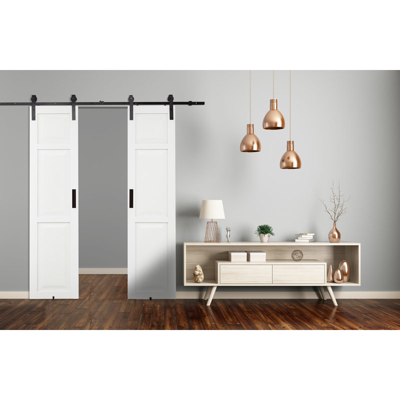 Porte de grange à panneaux en PVC / vinyle avec quincaillerie d'installation, 42 po x 84 po
