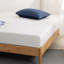 Green Tea Cool Mate 8'' Medium Mattress-88044989