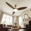 Ceiling Fan-556260656-556260660
