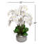 White Orchids In Artisanal Silver Pot