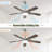42 Inch Ceiling Fan 5 Blades Noiseless Reversible Dc Motor Remote Control With Led Light