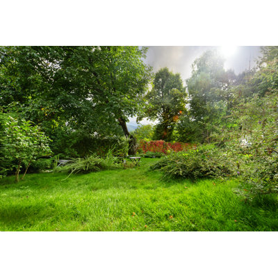 Nature View by Stock_colors - Wrapped Canvas Print
