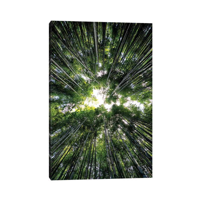 Bamboo Forest III by Philippe Hugonnard - Wrapped Canvas Print, 30.48 cm H x 45.72 cm W