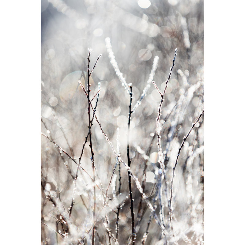 Wrapped Canvas Print, 76.2 cm H x 50.8 cm W