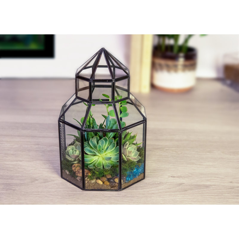 Abdisalam Glass Terrarium