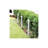 Atlantis Low Voltage Metal Bollard Light-454471871-454471868