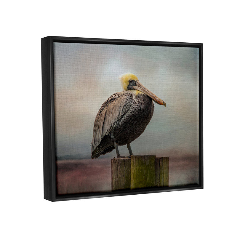 Art mural sur toile Pelican, Cadre flottant noir de jais, H 17 po x l 21 po x P 1,7 po