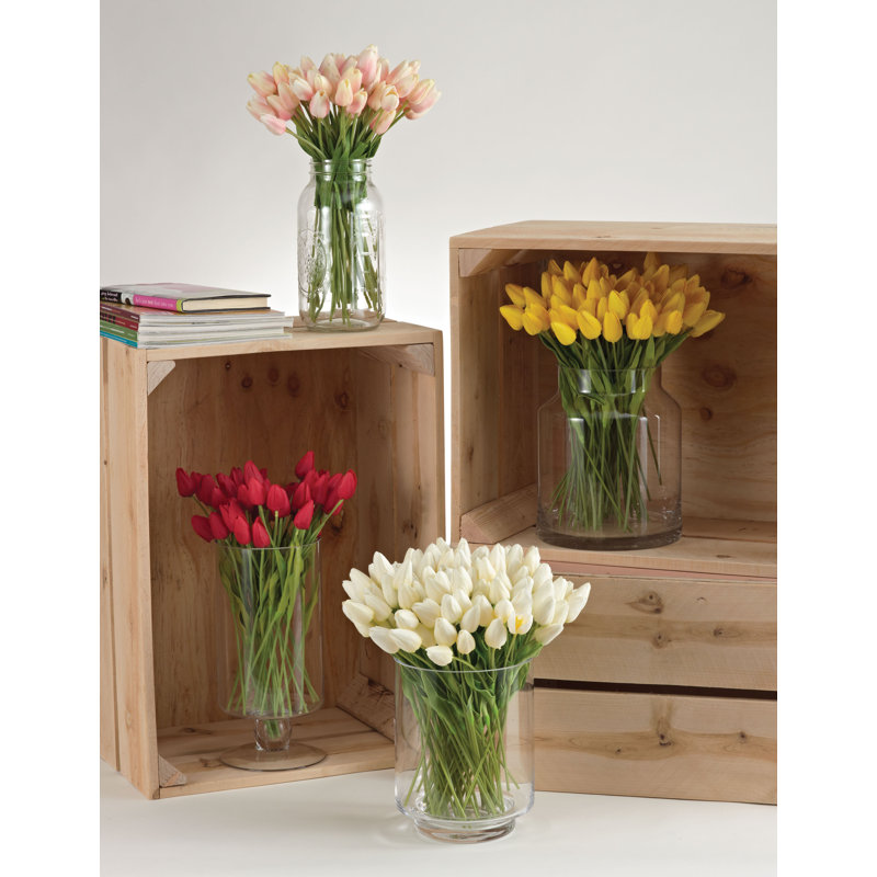 Tiges de tulipe petite, Rouge