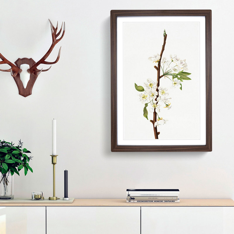 Musky Pear Tree Flowers by Giorgio Gallesio - Picture Frame Painting Print, 36cm H x 27cm W x 2cm D, Walnut Framed
