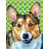 Corgi (brun et mauve) sélectionné