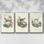 Lamarck Shells IV, ensemble de 3 toiles encadrées sur toile-97793109-97793110