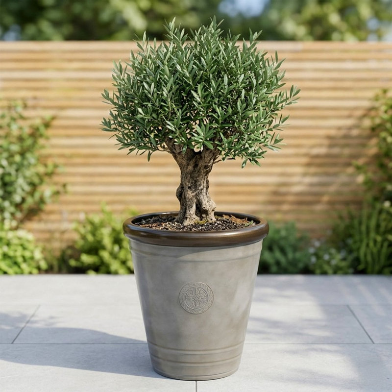 Handmade Pot Planter