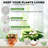 Self Watering Plant Pots Indoor-1507783043