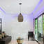 Silenus 1 - Light Single Dome Ceiling Pendant Lights