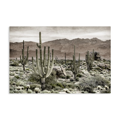 Toile de désert, cactus, par Kim Allen