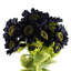 Plastic, Silk Artificial Arrangement-89222298