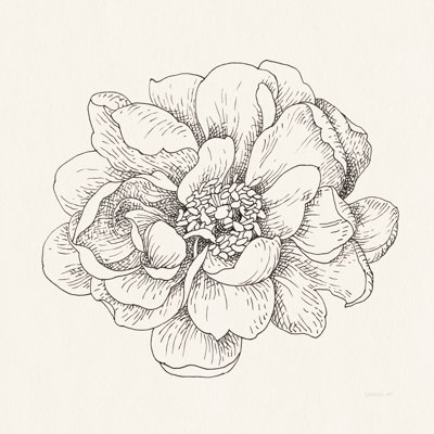 Stylo et encre florales IV