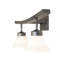 2 - Light Vanity Light