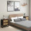 50cm W Steel Bedside Table