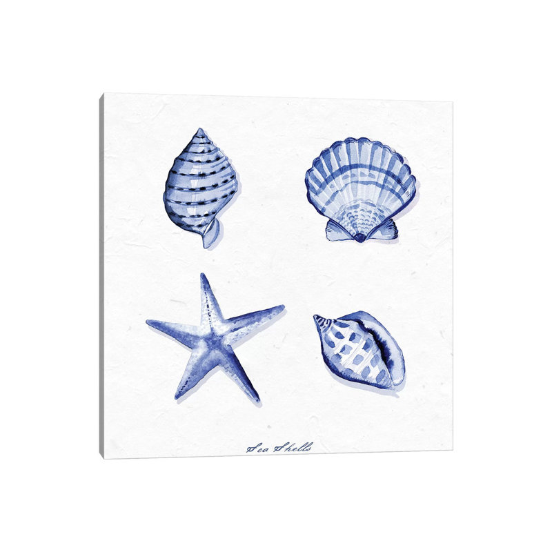 Shell Collection IV by Stephanie Ryan - Painting on Canvas, 45.72cm H x 45.72cm W x 3.81cm D, Wrapped Canvas