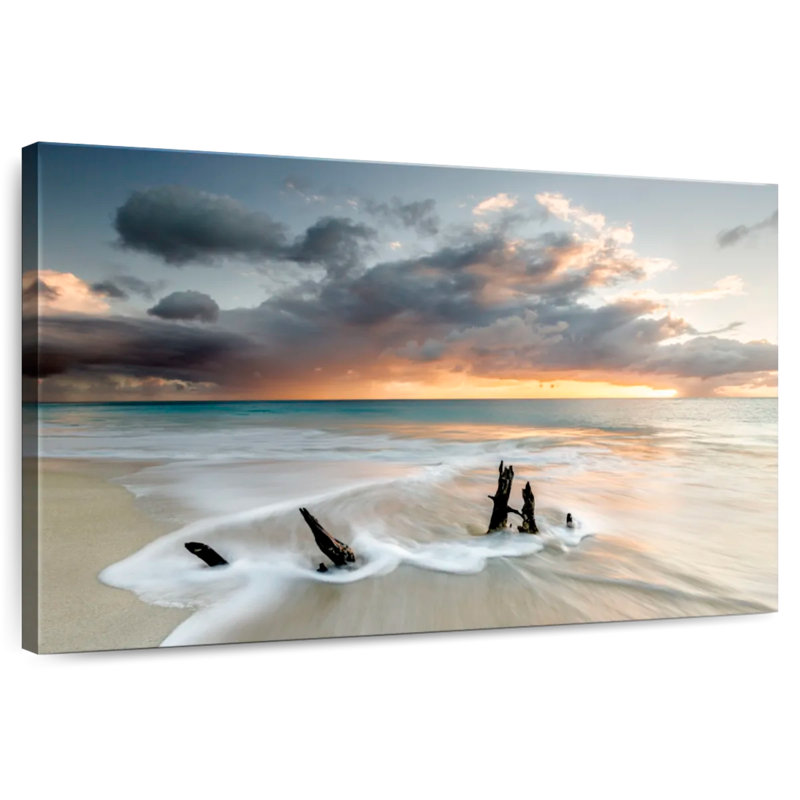Gillard Ffryes Beach Driftwood