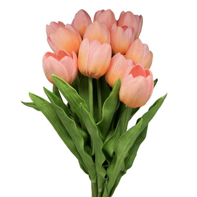 Polyether Polyurethane (PU) Tulip Arrangement