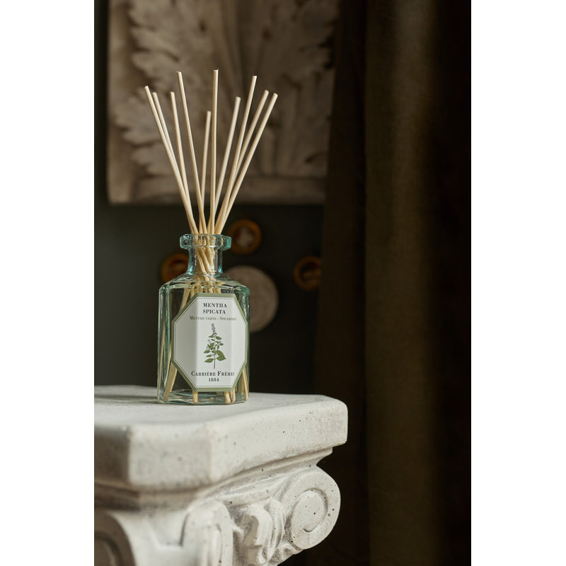 Rose Mint Diffuser, Spearmint