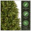 Sapin de Noël pré-éclairé-799160663