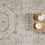 Tapis gris ardoise à médaillon traditionnel Abani Rugs-1495583347